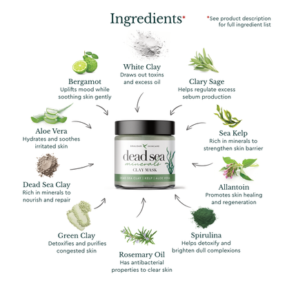 Dead Sea Minerals Purifying Clay Mask