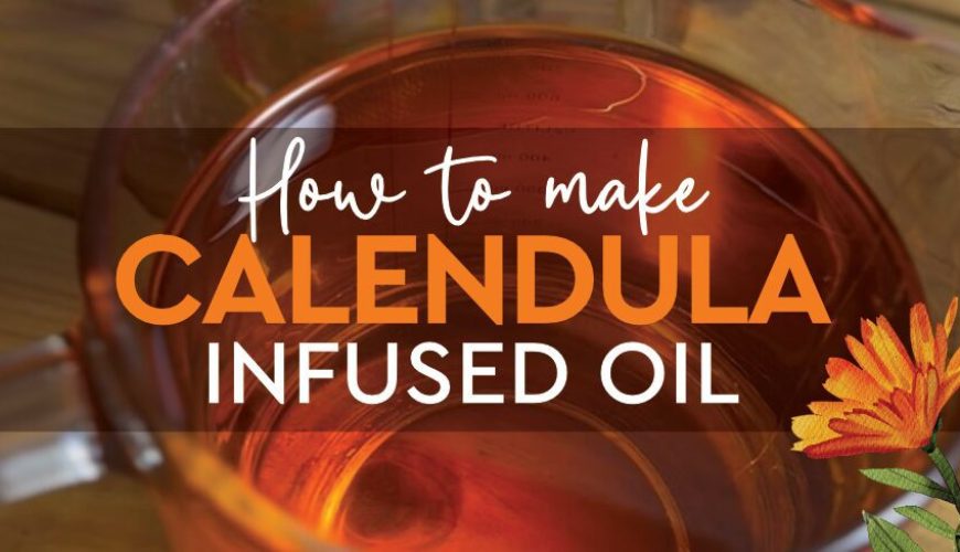 how to make calendula oil eczema dry skin_1_1 how to make calendula oil eczema dry skin_1_1